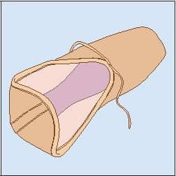 Ballet Buns & Shoes -