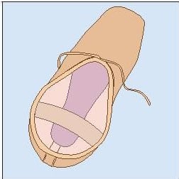 Ballet Buns & Shoes -