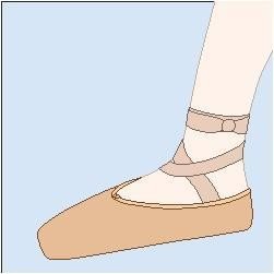 Ballet Buns & Shoes -